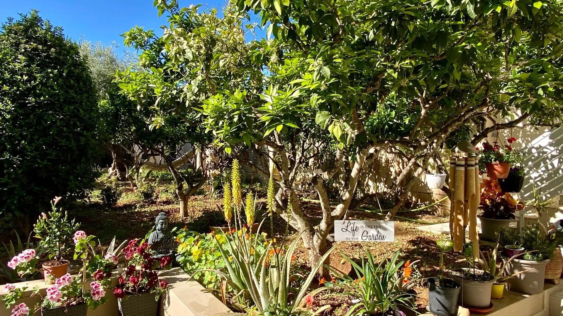 Maltese Garden Villa Mosta