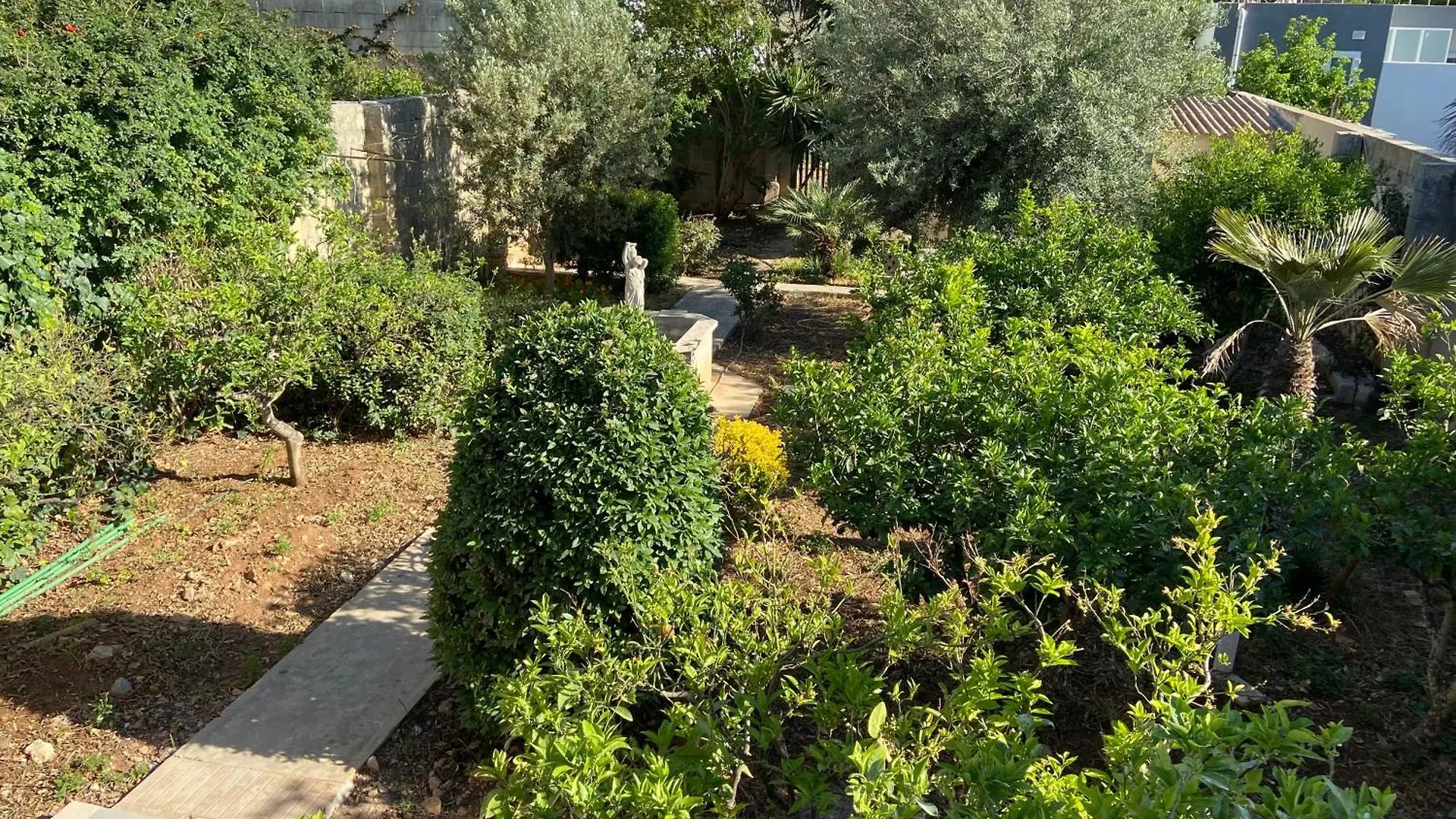 Bed & Breakfast Maltese Garden Villa Mosta Malta